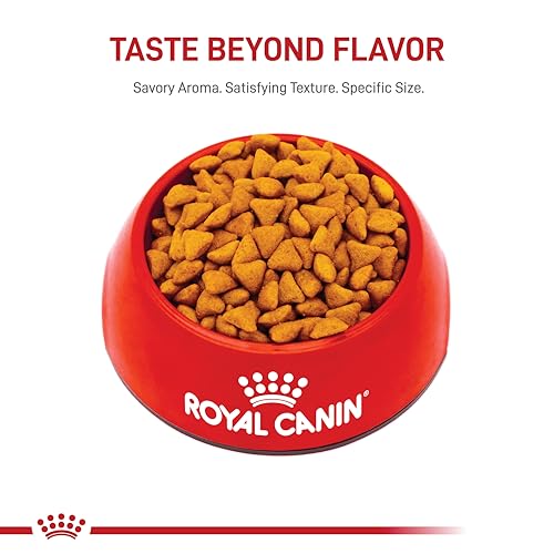 Royal Canin Indoor Adulte – croquettes en gros plan, odeur atténuée et digestion facilitée.