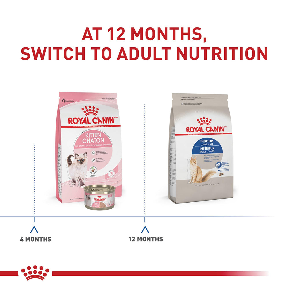 Royal Canin Indoor Long Hair: soutien du pelage et de la peau au quotidien.