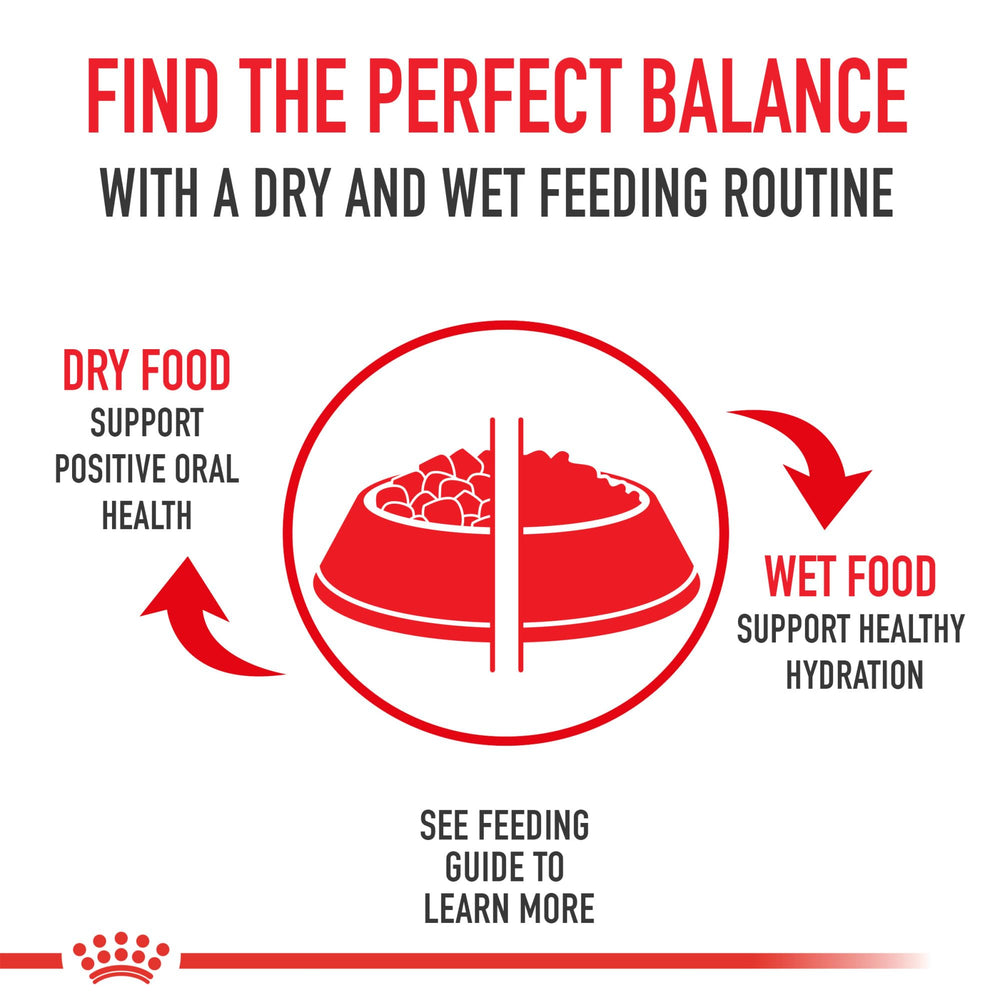 Royal Canin Indoor Long Hair: calories modérées pour maintenir le poids idéal.