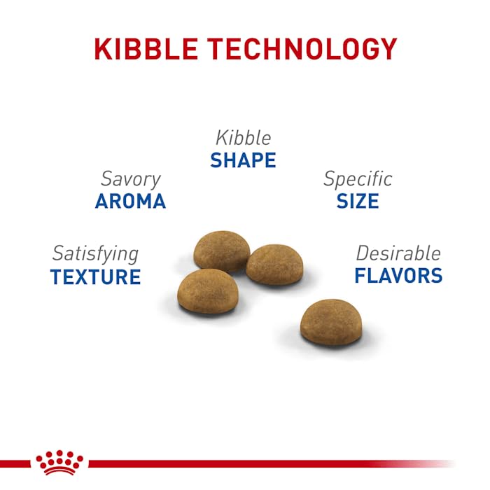 Royal Canin Indoor Long Hair: fibres précises pour prévenir les boules de poils et favoriser la digestion.