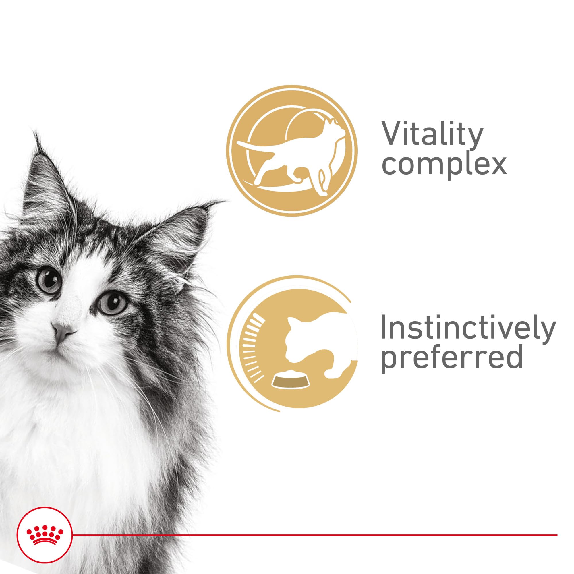 Étiquette du Royal Canin Instinctif 7+ visible, indication de formulation adaptée