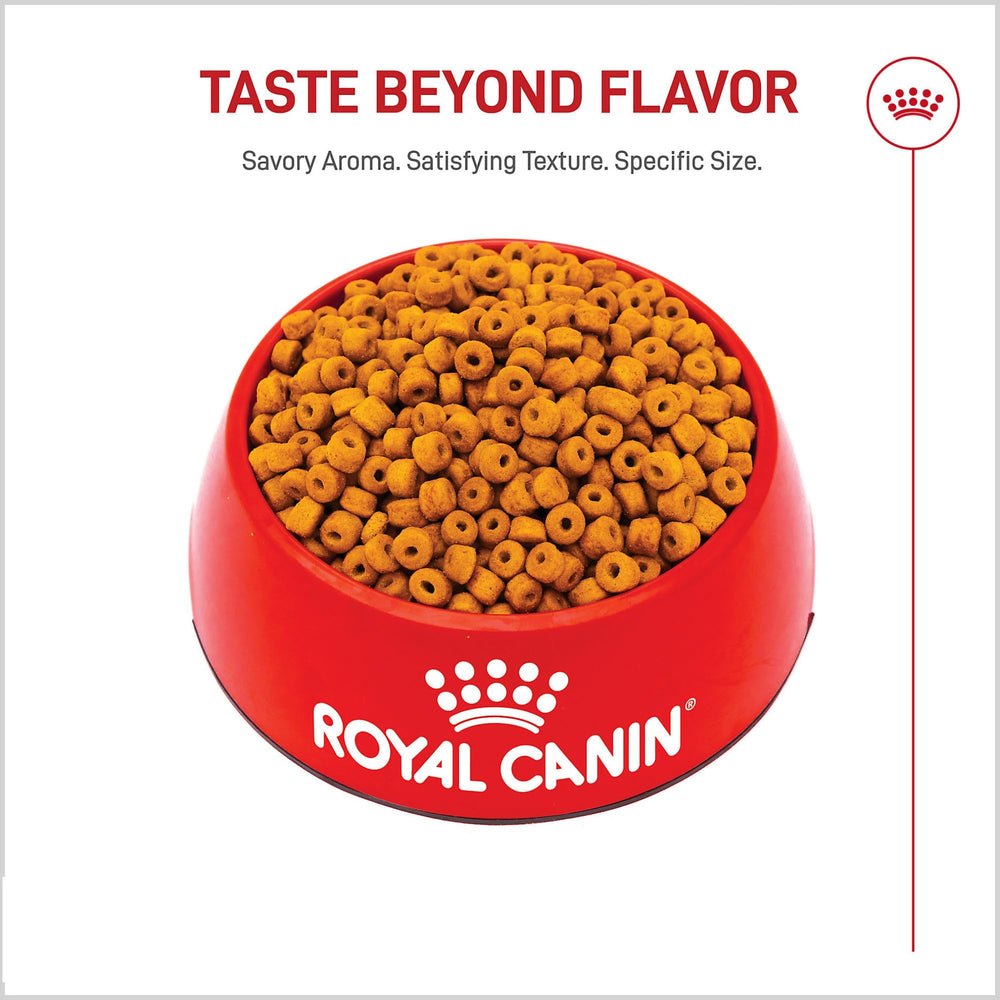 ROYAL CANIN Labrador chiot portion contrôlée pour une satiété durable.