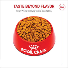 ROYAL CANIN Labrador chiot portion contrôlée pour une satiété durable.