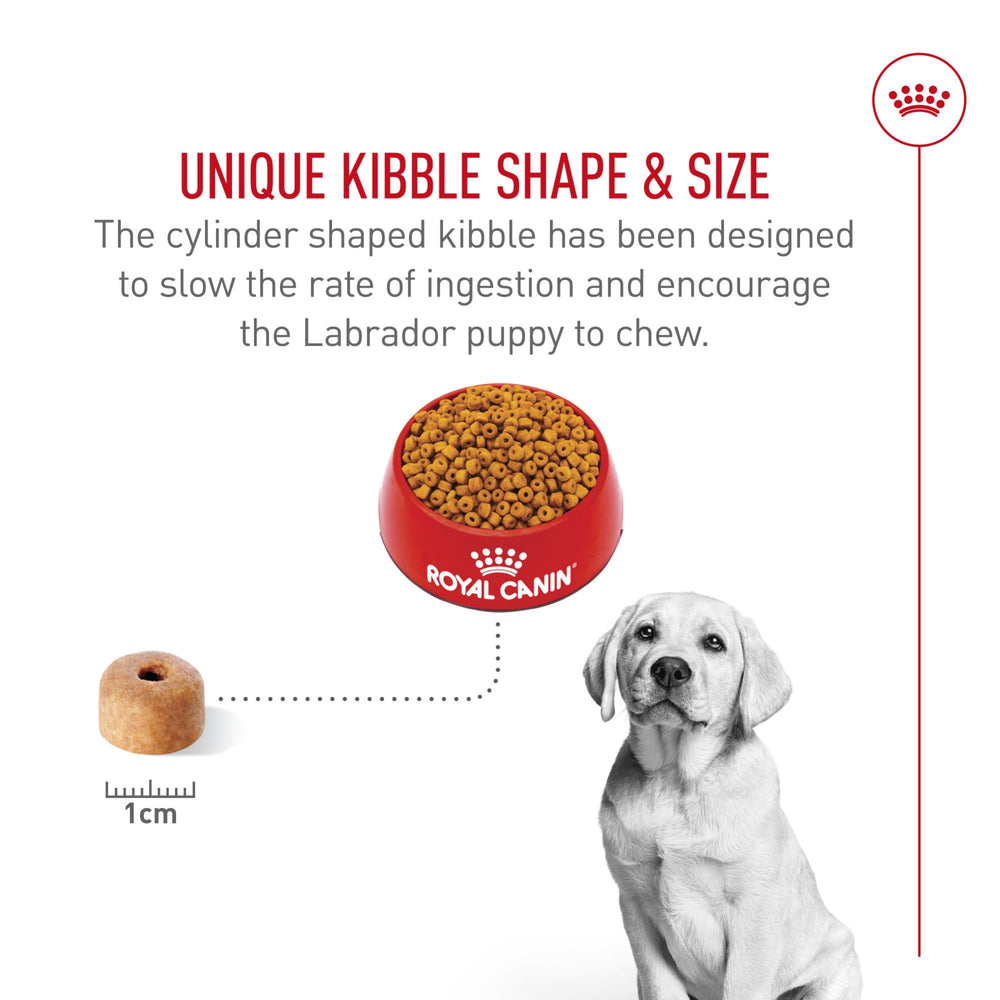 ROYAL CANIN Labrador chiot qualité et sécurité de l’alimentation.