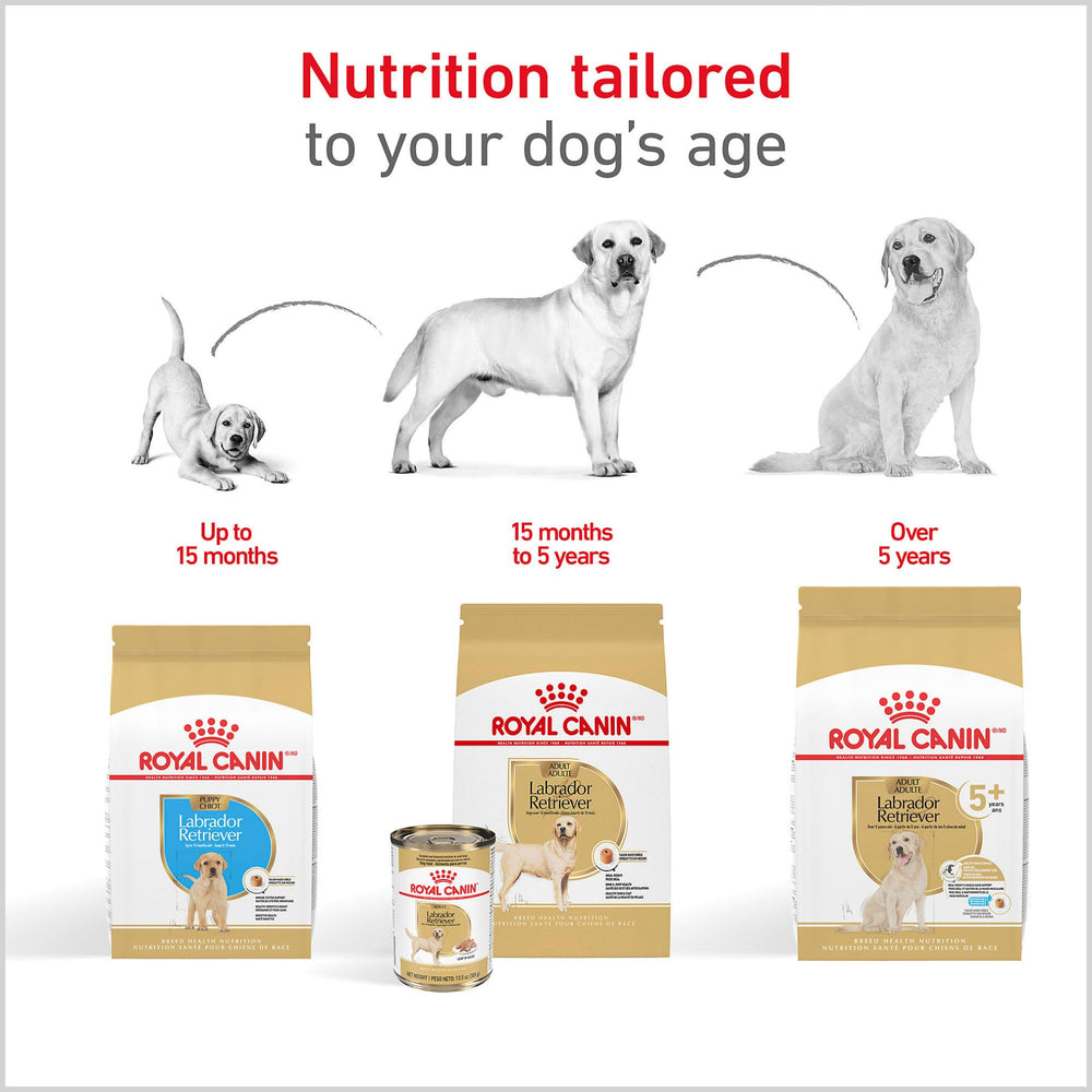 ROYAL CANIN Labrador chiot soutien immunitaire et défense naturelle.