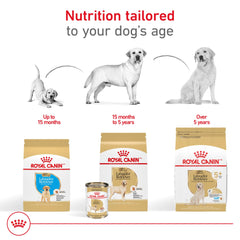 Royal Canin Labrador Retriever apport énergétique maîtrisé, maintien du poids.