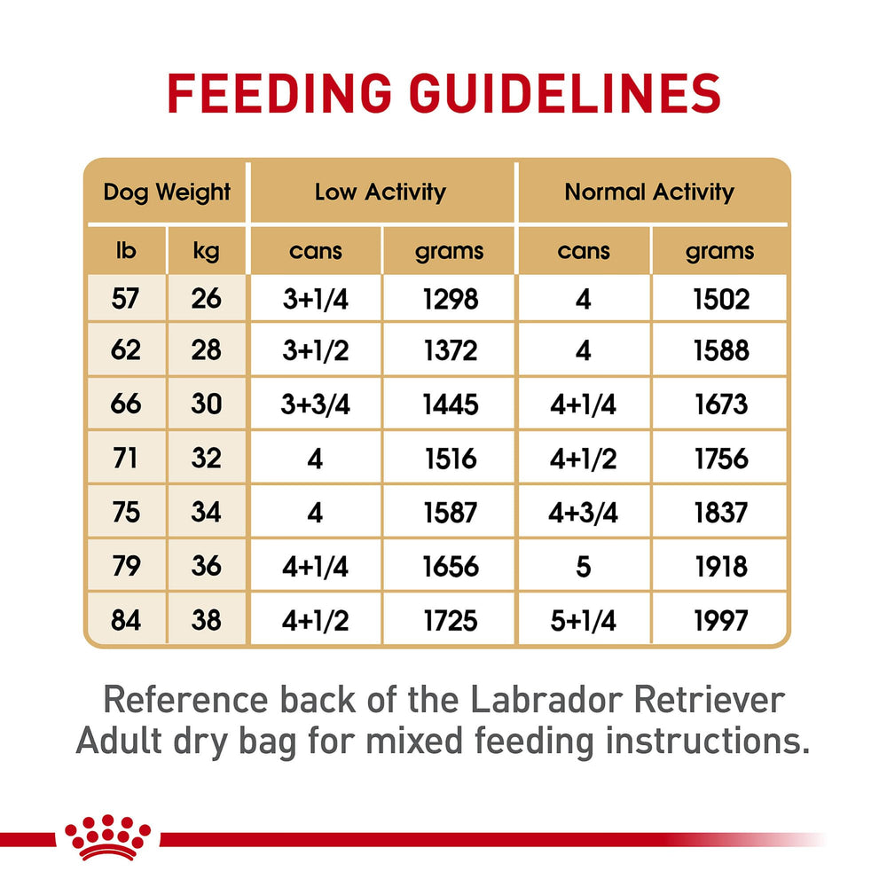 Royal Canin Labrador Retriever repas mélange croquettes pour variété.