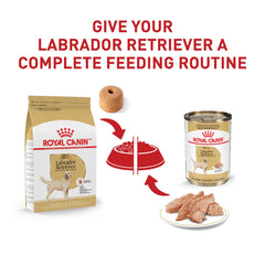 Royal Canin Labrador Retriever soutien des articulations avec EPA/DHA et glucosamine.