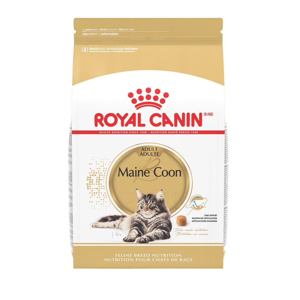 Royal Canin Maine Coon Adulte – Cœur sain grâce à la taurine et EPA/DHA.