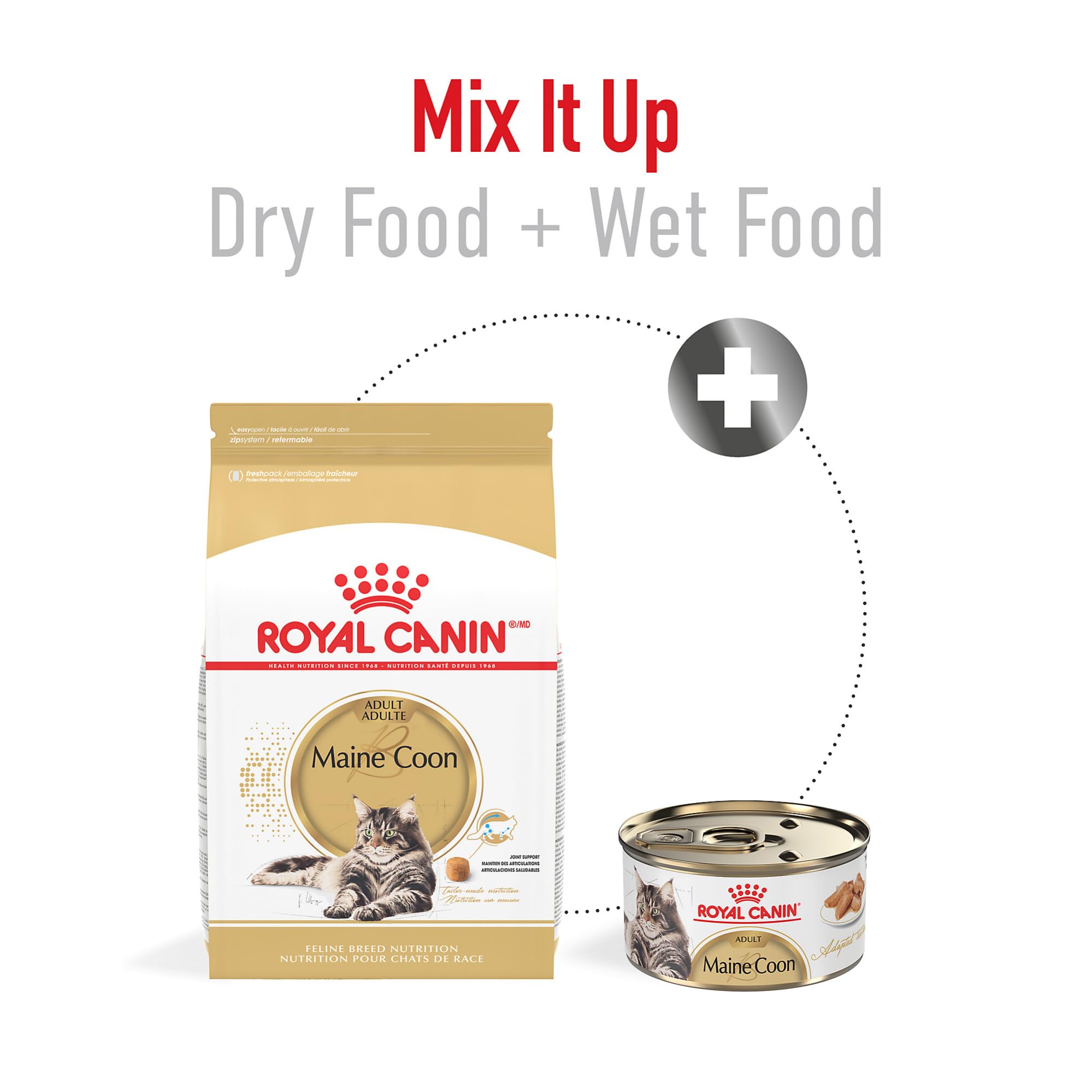 Royal Canin Maine Coon Adulte – Kibble en forme carrée facilitant la mastication.