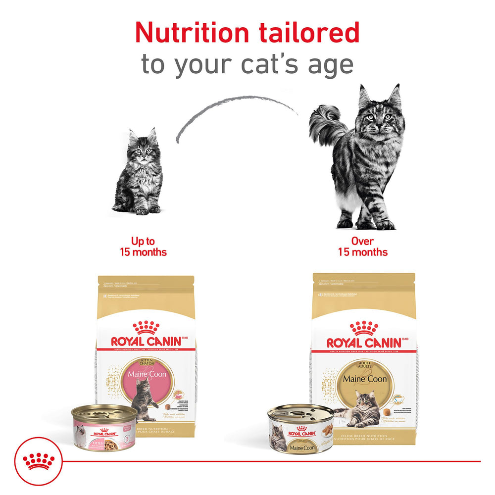 Royal Canin Maine Coon coeur taurine DHA EPA: nutriments potentiels pour la santé cardiaque