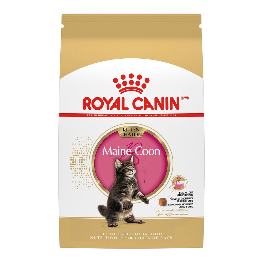 Royal Canin Maine Coon Kitten – croquettes taille adaptée pour mastication confortable et croissance