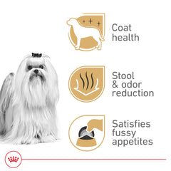 Royal Canin Maltais Adulte – oméga-3 et oméga-6 pour un pelage soyeux.