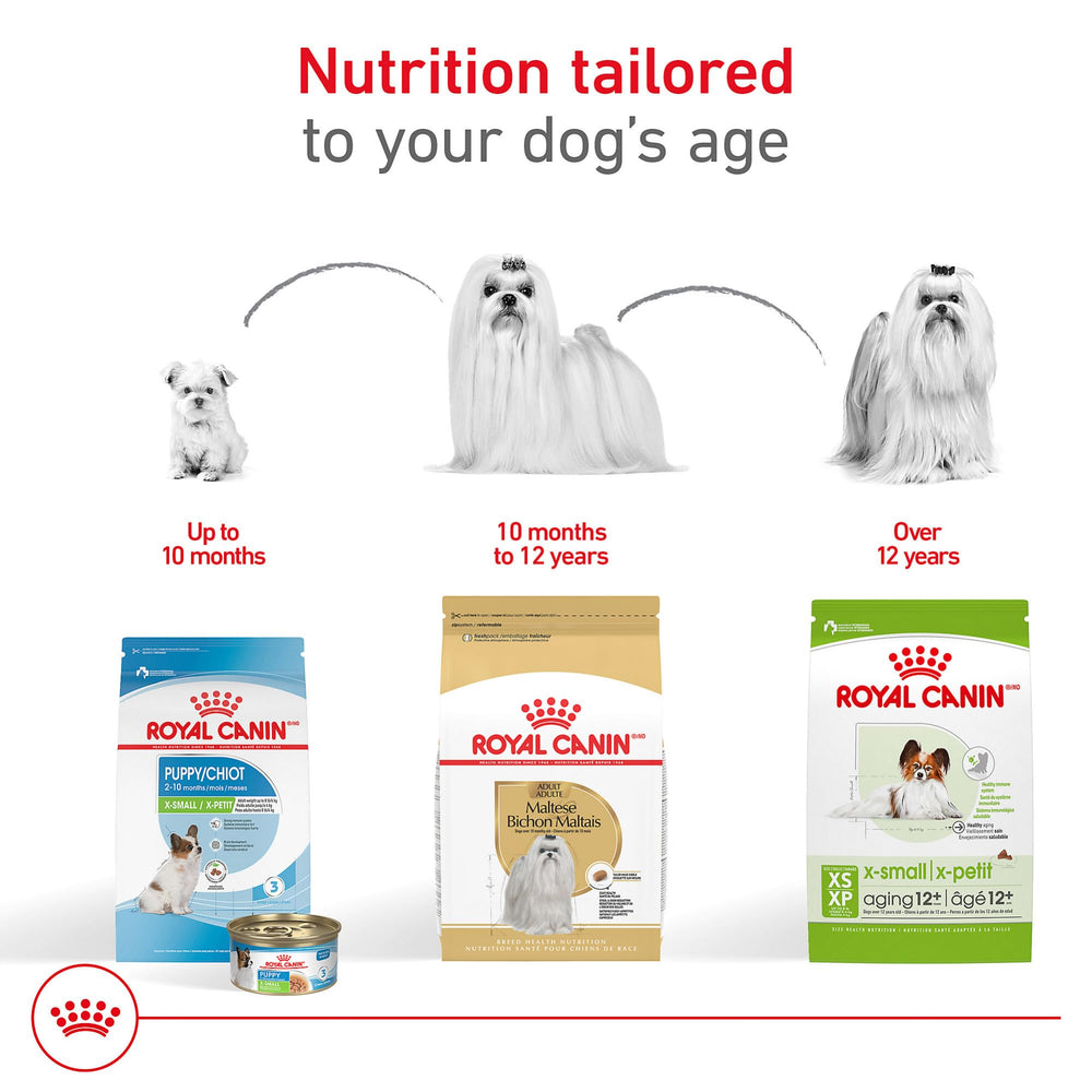 Digestibilité élevée avec ROYAL CANIN Maltese Adulte pour des selles régulières.