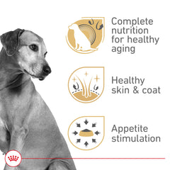 ROYAL CANIN Mature Adulte en Gel — image montrant l'arôme appétissant pour stimuler l'appétit des chiens difficiles