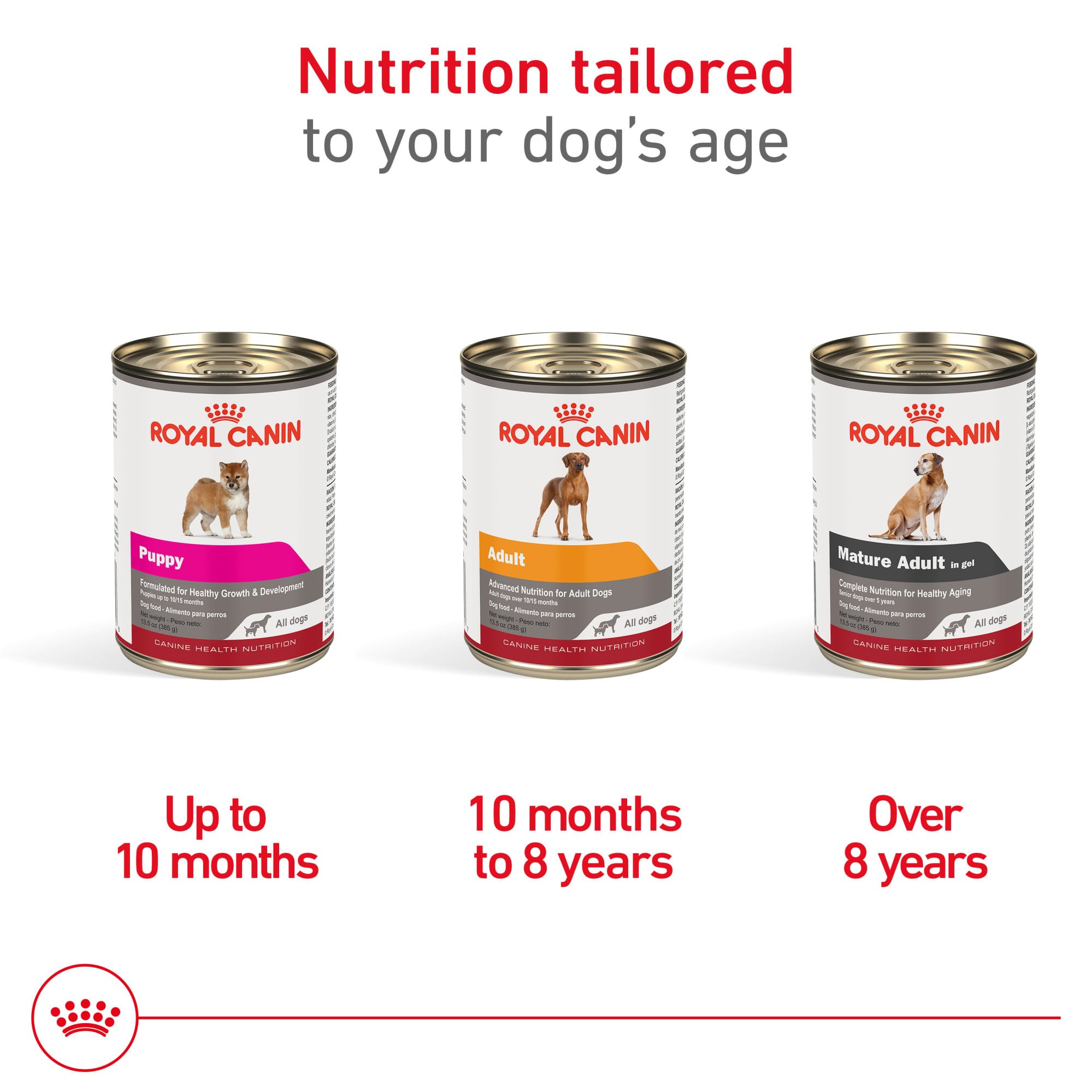 ROYAL CANIN Mature Adulte en Gel — actifs pour peau et pelage, nourrissant le poil