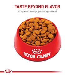 Royal Canin bol-repas pour chien moyen, textures variées stimulant l’appétit.