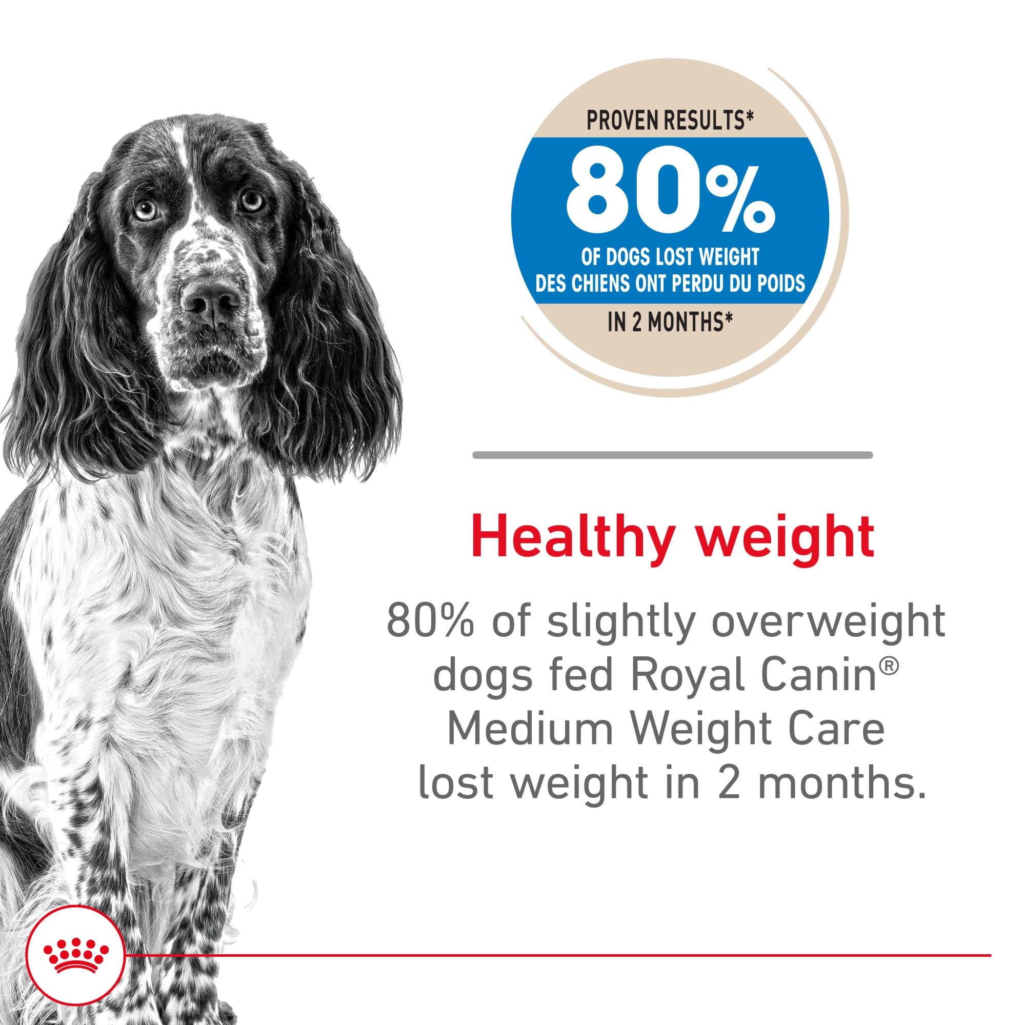 Croquettes Royal Canin Medium Weight Care dans un bol, goût appétissant et satiété.