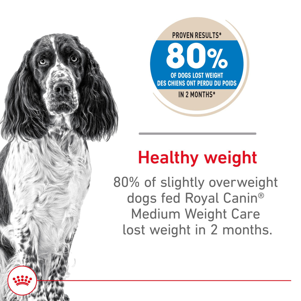 Croquettes Royal Canin Medium Weight Care dans un bol, goût appétissant et satiété.
