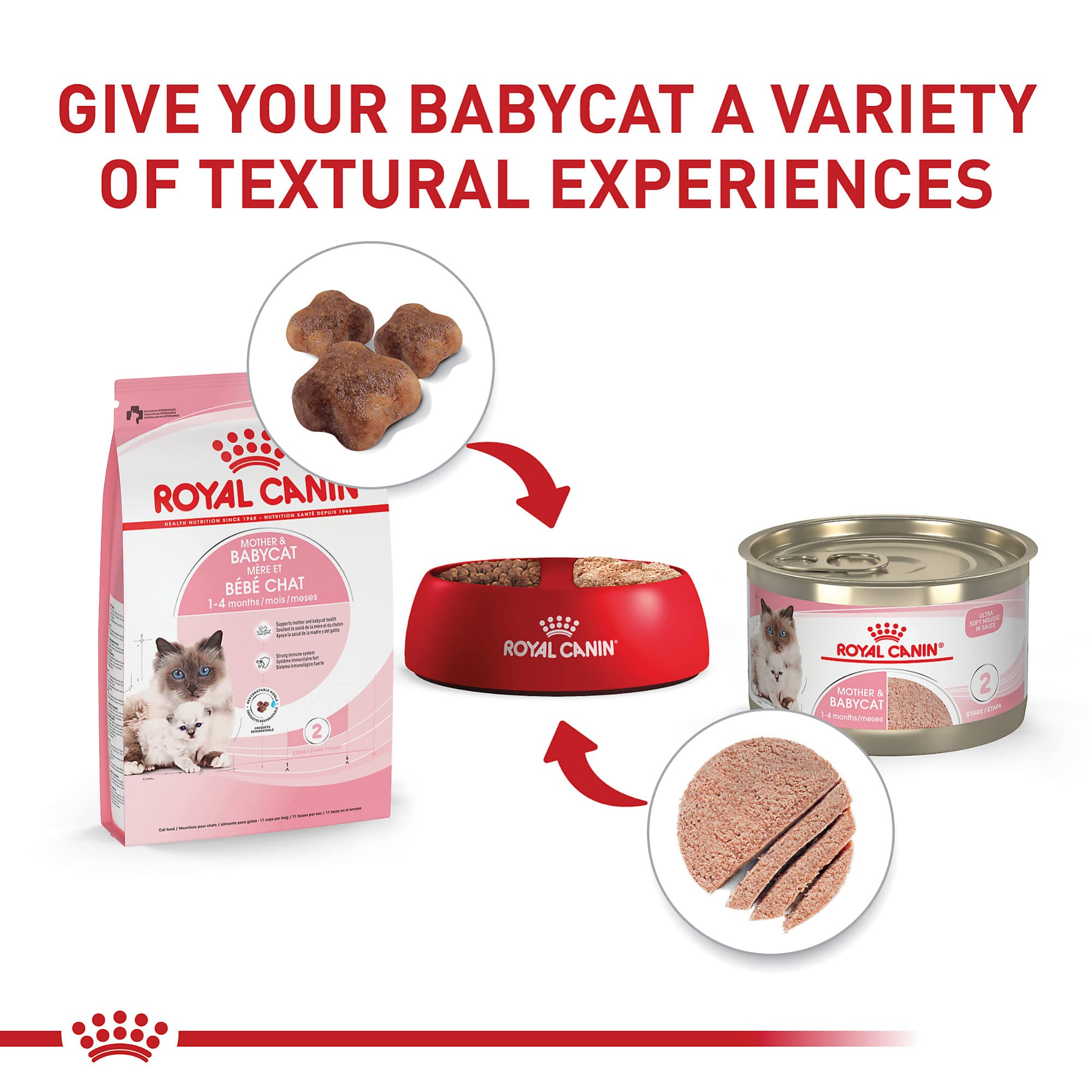 ROYAL CANIN Mère & Babycat prébiotiques et protéines digestibles pour digestion équilibrée.