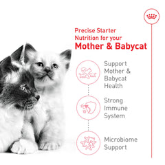 ROYAL CANIN Mère & Babycat transition lait-solide en douceur grâce à la nourriture solide.
