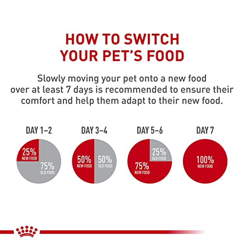 Complément idéal à la nourriture sèche mère et bébé chaton pour la croissance.