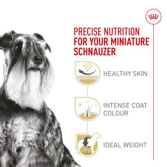 ROYAL CANIN Miniature Schnauzer Adulte – gestion du poids avec formule équilibrée