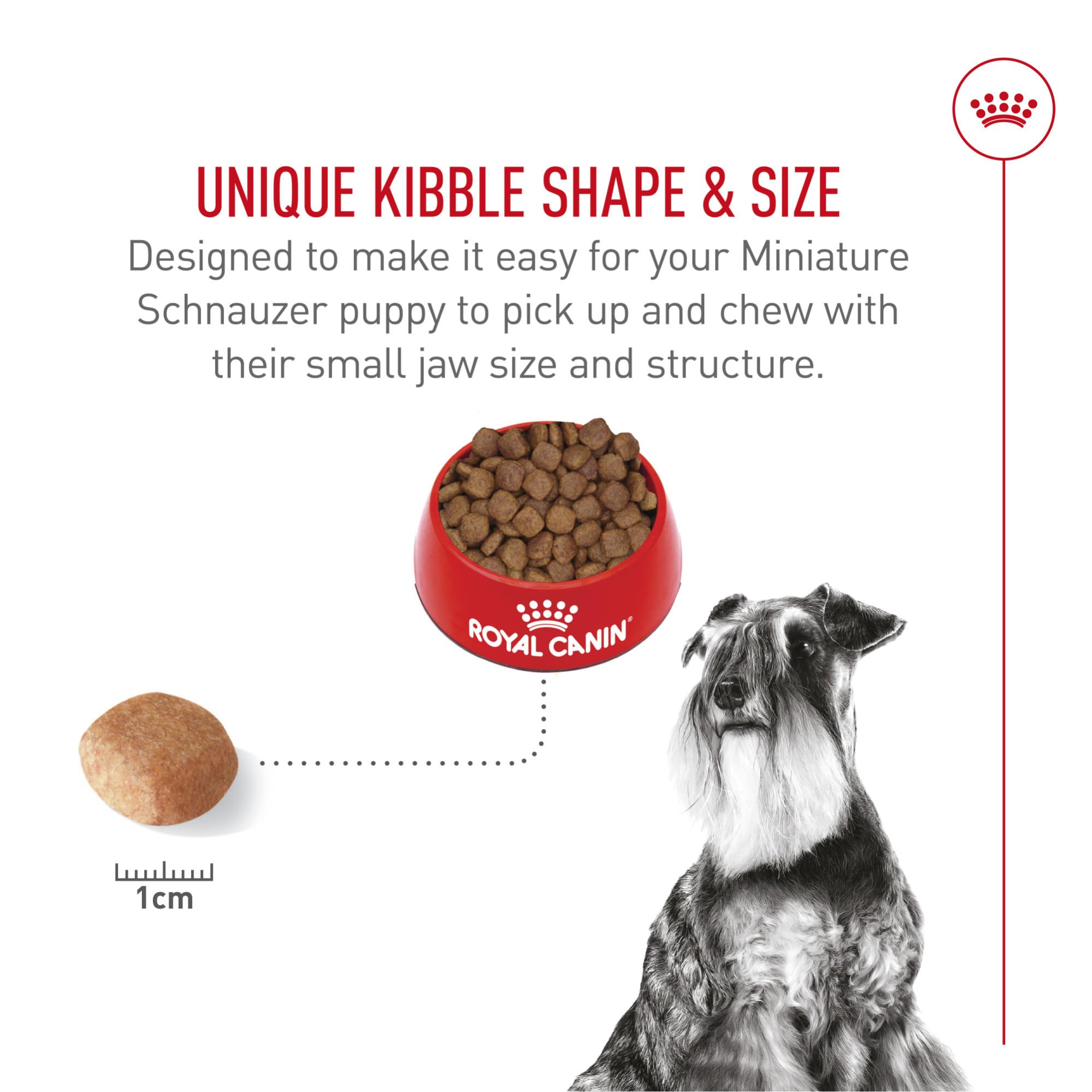 ROYAL CANIN Miniature Schnauzer Adulte – portionnement facile pour les repas quotidiens