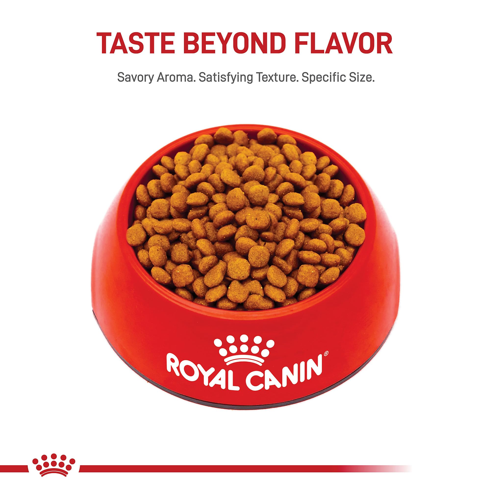 Prébiotiques favorisant une digestion saine chez Royal Canin Miniature Schnauzer Puppy