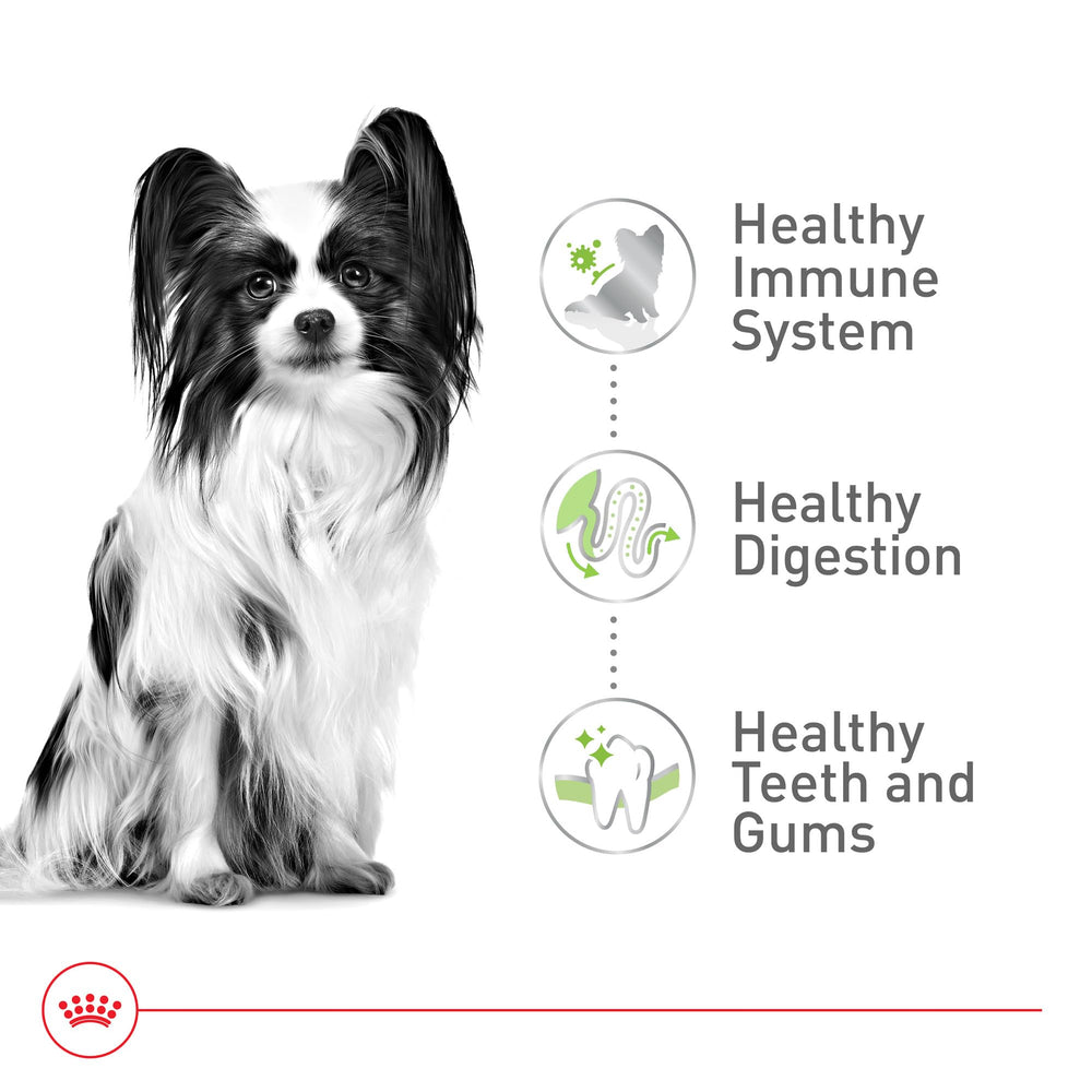 Royal Canin mix alimentation – croquettes et humide pour plus de palatabilité.