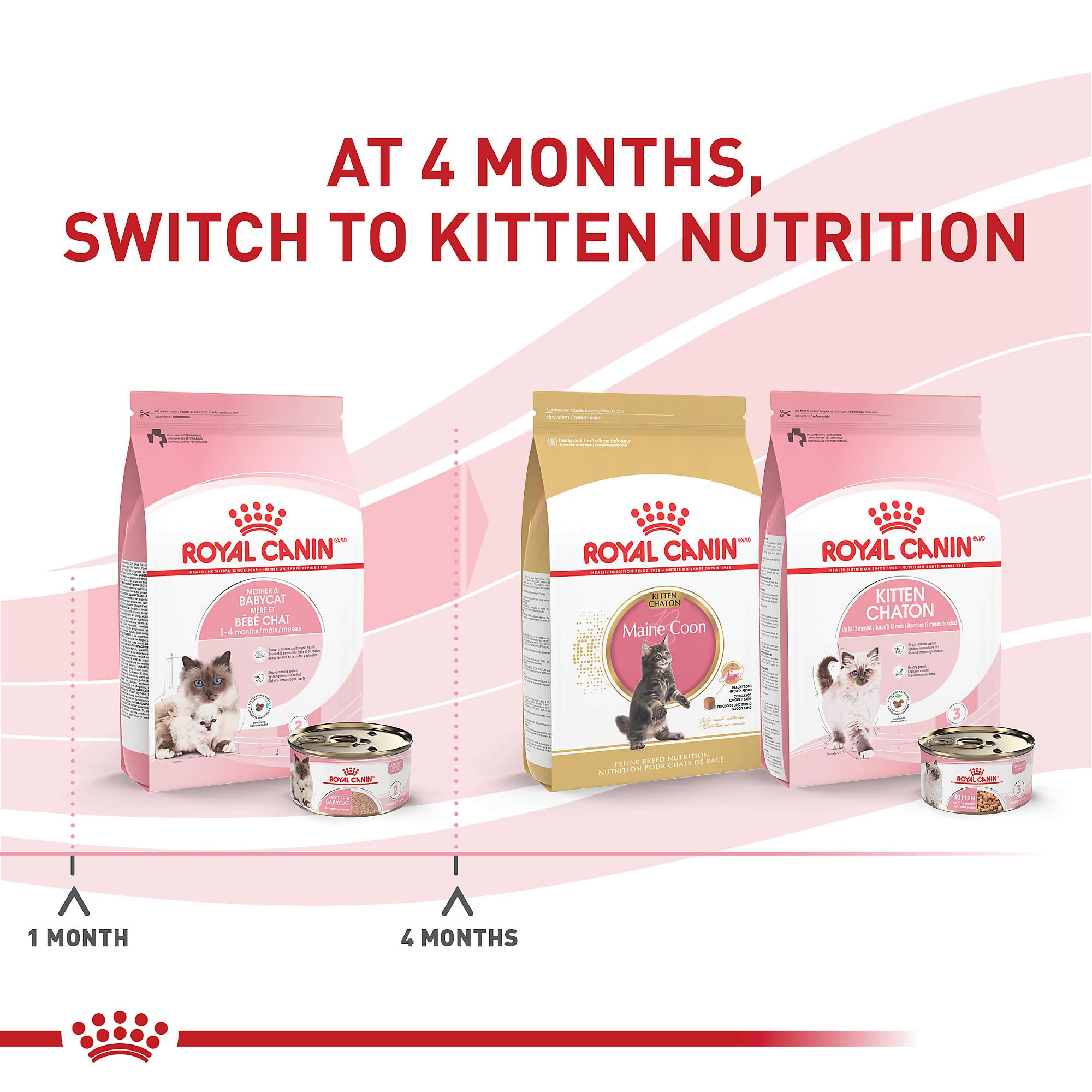 Royal Canin, base sante chaton pour un debut de croissance sain