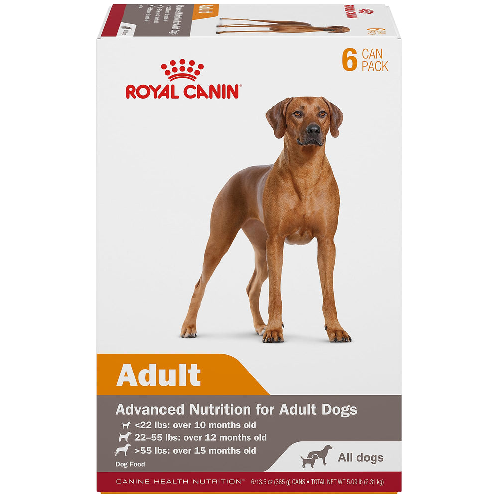 ROYAL CANIN Nourriture humide adulte en gel soutient peau et pelage