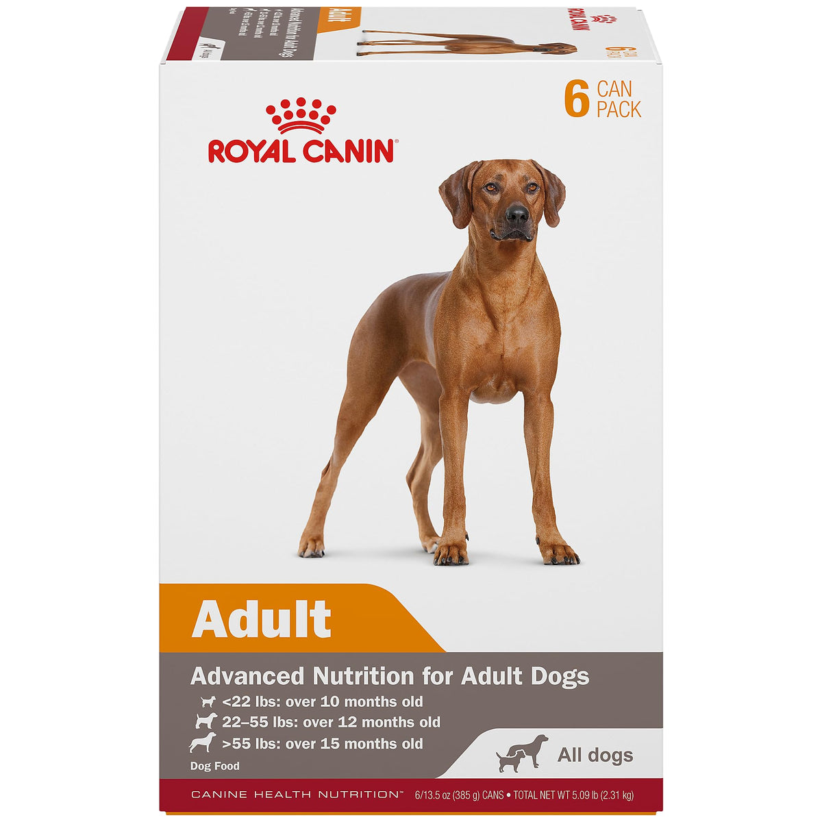 ROYAL CANIN Nourriture humide adulte en gel soutient peau et pelage