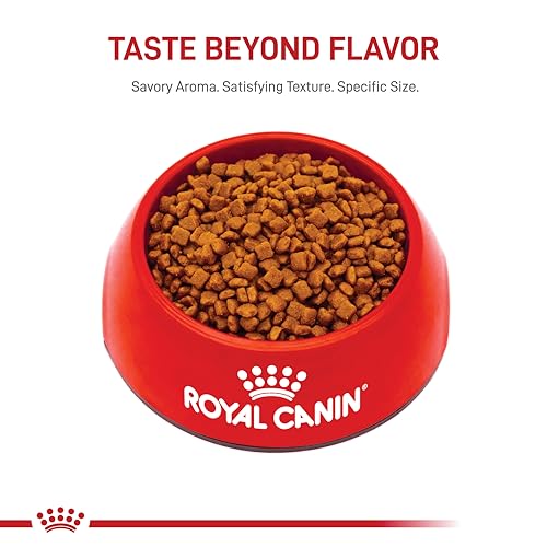 Royal Canin Nutrition base chaton soutien du developpement