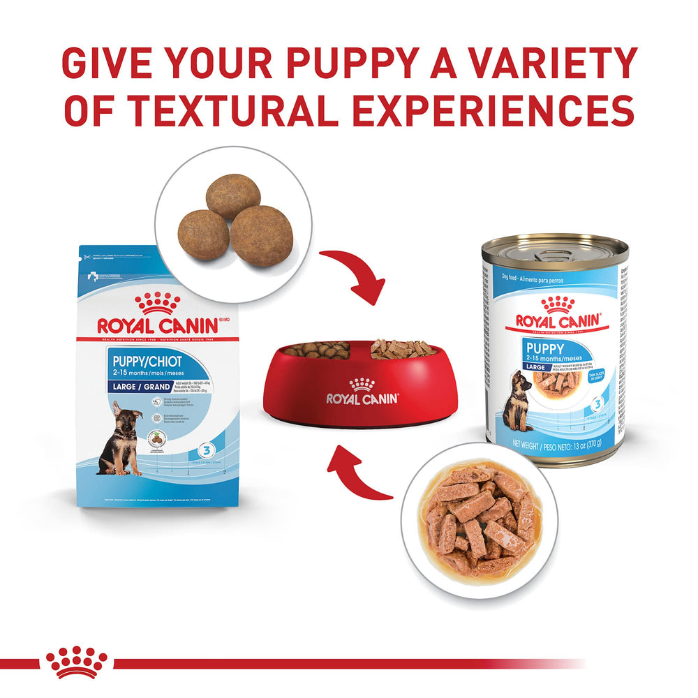 Royal Canin Large Puppy – prébiotiques et digestibilité pour l’intestin
