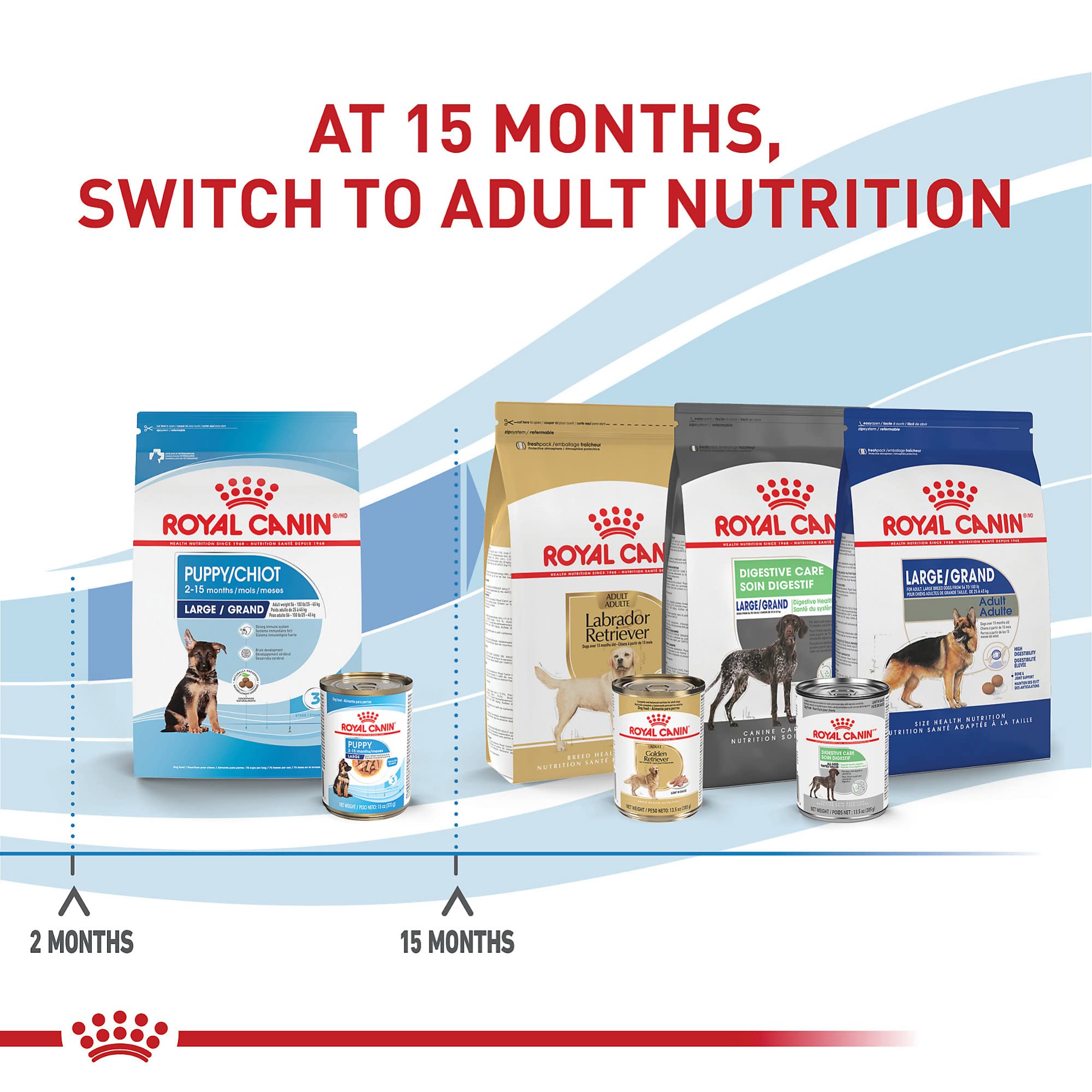 Royal Canin Large Puppy – protéines digestibles et équilibre intestinal