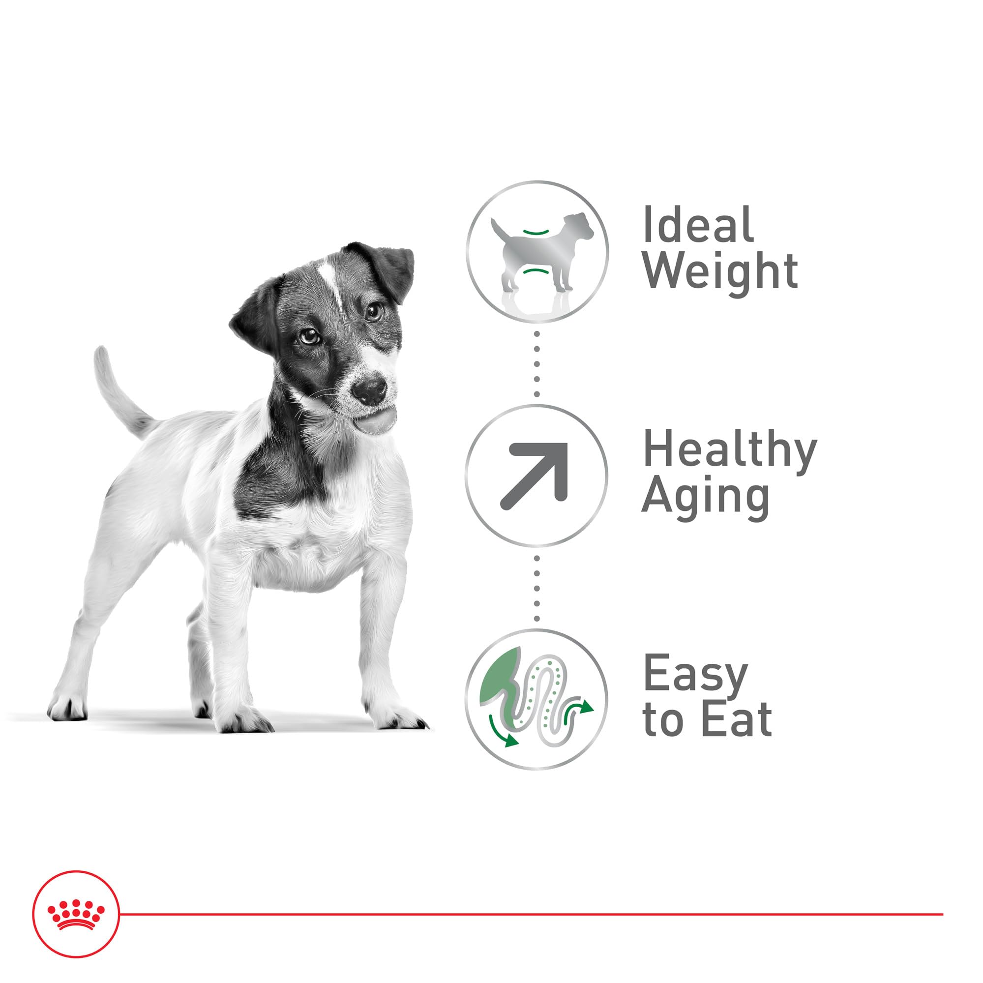 Royal Canin — apport en oméga-3 pour poil et peau.