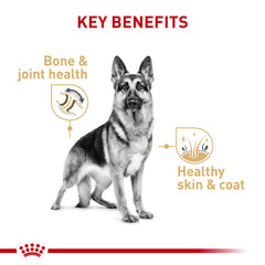 Royal Canin pate lisse berger allemand — texture douce appréciée au repas