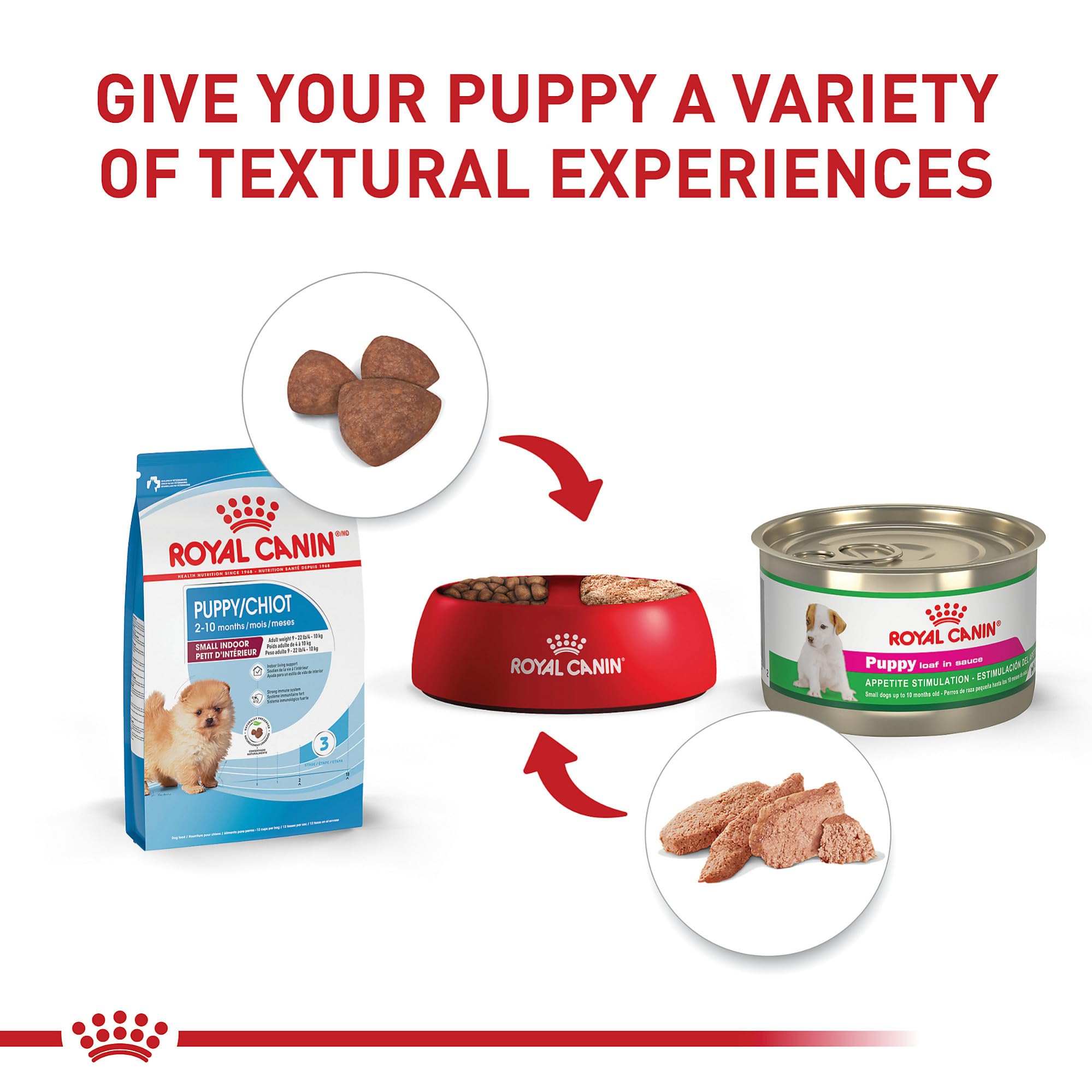 Royal Canin peau et poil brillants, oméga-3