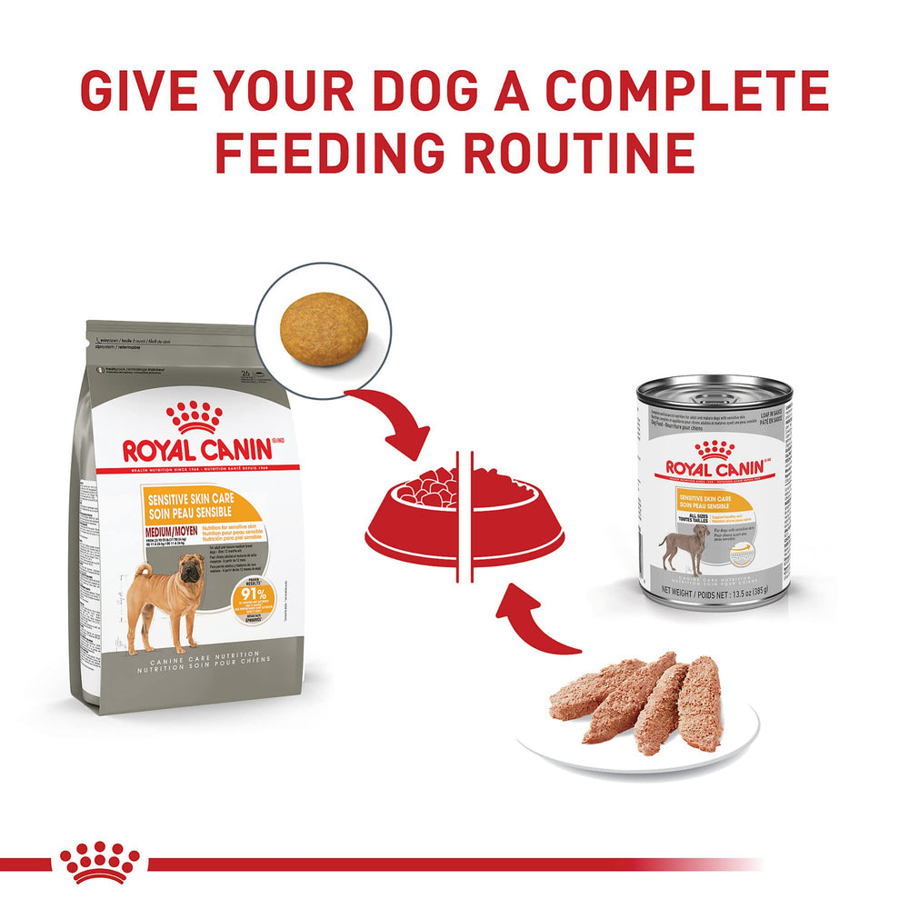 Royal Canin peau sensible pelage sain, promesse visuelle d'un confort cutané et d'un poil plus soyeux.