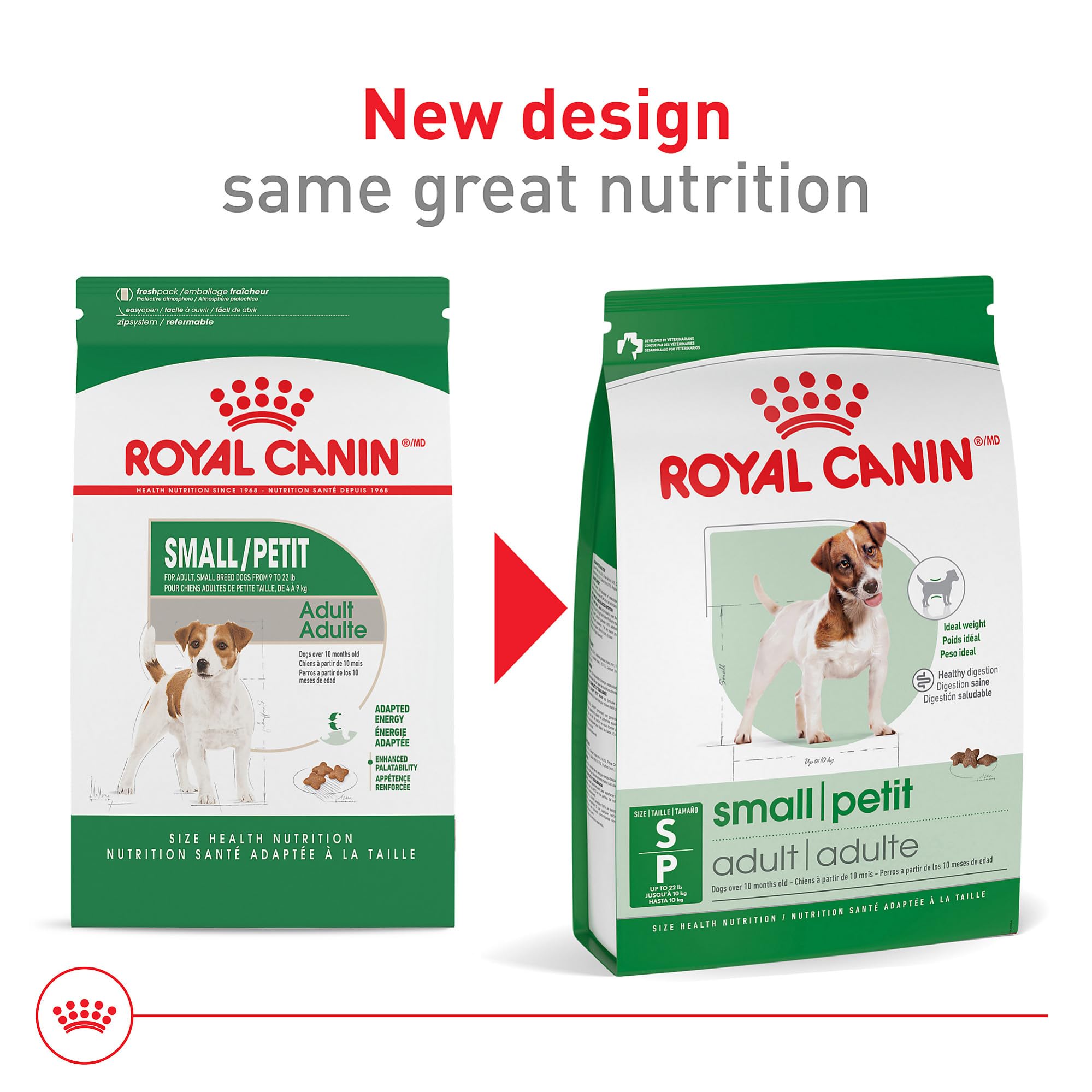 ROYAL CANIN Petite Chien Adulte – bol repas prêt à servir et appétence élevée.