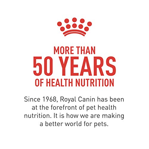 ROYAL CANIN Petite Chien Adulte – possibilité de mélange croquettes et aliments humides.