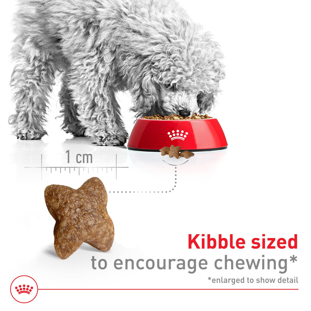 ROYAL CANIN Petite Chien Adulte – emballage pratique et sac de 6 kg.