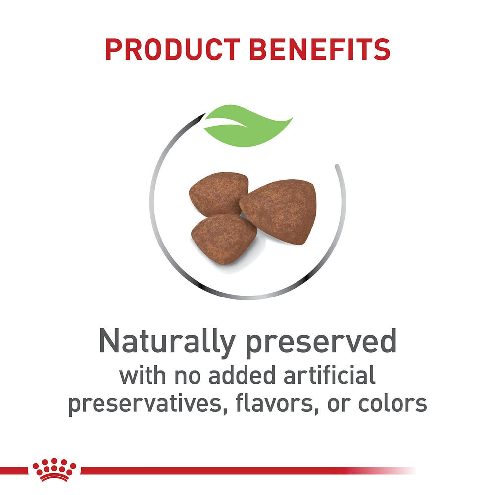 Royal Canin développement cérébral grâce à des nutriments clés.