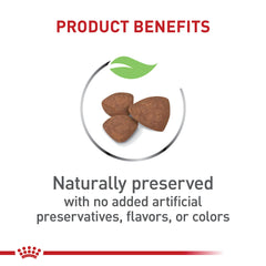 Royal Canin développement cérébral grâce à des nutriments clés.