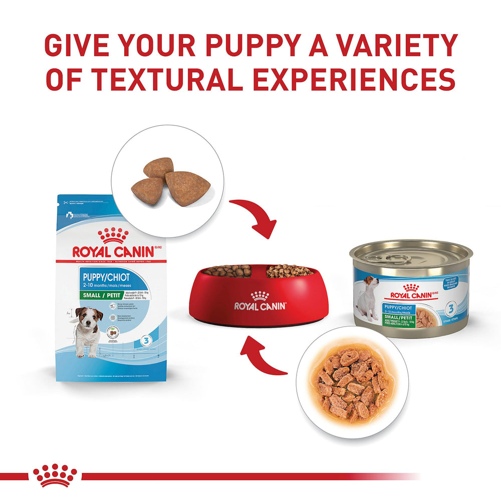 Royal Canin digestion saine grâce aux prébiotiques et protéines.