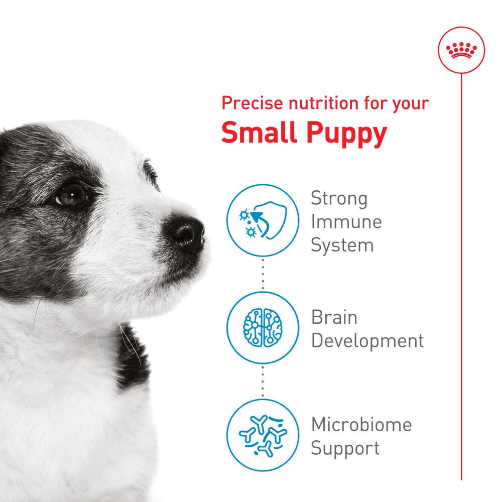 Royal Canin immunité renforcée par des antioxydants naturels.
