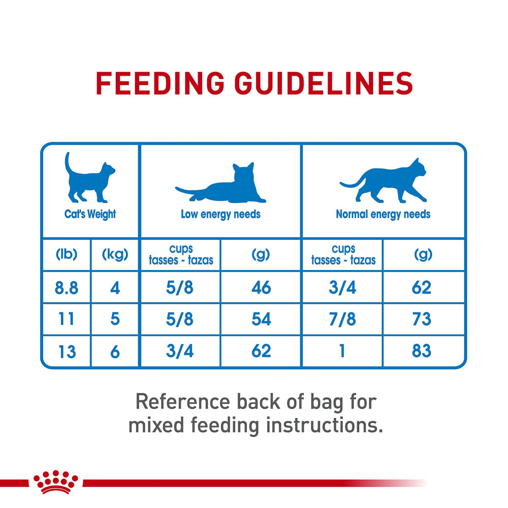 ROYAL CANIN Soin Félin – formulation soutenant une condition corporelle équilibrée.