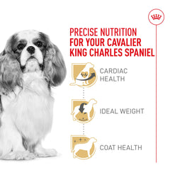 ROYALE CANIN Poil brillant et peau saine grâce à des oméga essentiels.