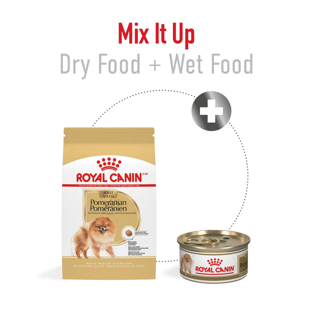 Soutien des articulations et des os pour petites races – Royal Canin Pomeranian